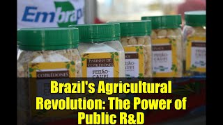 Brazil's Agricultural Revolution: The Power of Public R&D