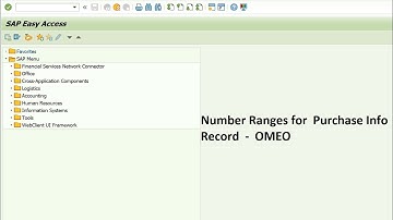 PIR #1 How to create Number ranges for Purchase info record in sap MM