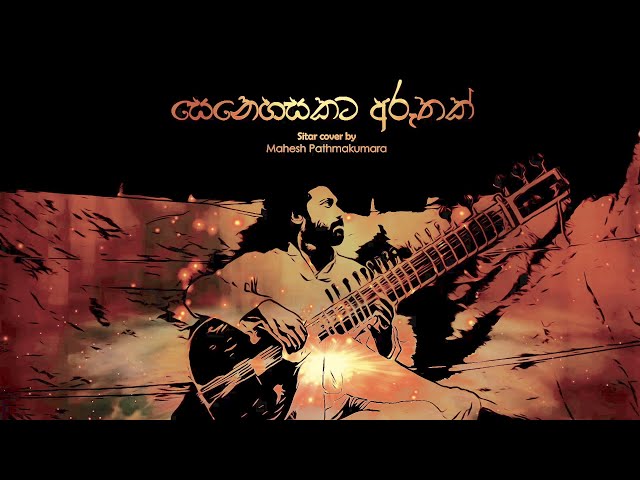 සෙනෙහසකට අරුතක් | Senehasakata Aruthak | Sitar Cover by Mahesh Pathmakumara class=