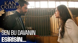 Sen Benimsin - Kan Çiçekleri