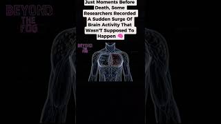 Scientists Expected The Brain To Shut Down… Then It Became More Active