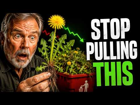 20 Wild Plants Most Seniors Ignore That May Support Healthy Blood Sugar