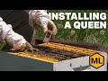 How to install a new queen