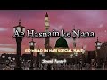 Ae Hasnain ke Nana - Naat (Slowed and Reverb | Milad Raza Qadri | By @theurduwrites