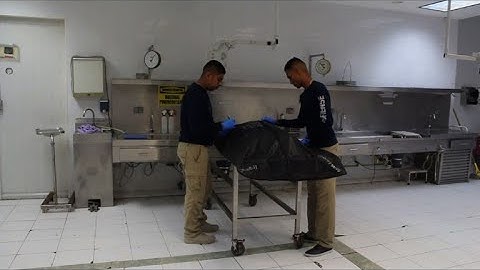 Forensic scientists work to identify victims in Mexico