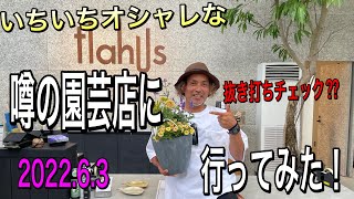 【寄せ植え】兵庫県のいちいちオシャレな園芸店『トラハス』へ行ってみた！