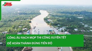 Cống âu Rạch Mọp thi công xuyên Tết để hoàn thành đúng tiến độ