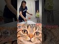 🤣 #aesthetic #cat #funny #happycat #