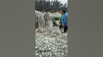 Trúng đậm 1,5 tấn cá trích, thuyền của ngư dân bị sóng đánh lật