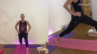 Power Yoga 4 (e) - powerful yogic techniques to freshen up body and mind - the warrior show