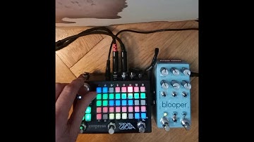 Sketch #9 - Chase Bliss Blooper & Empress Zoia