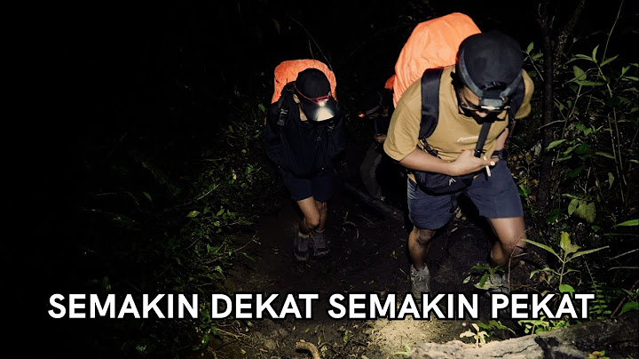 Menemukan Pohon Terlangka di Dunia (Raung #2)