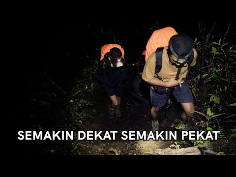 Menemukan Pohon Terlangka di Dunia (Raung )
