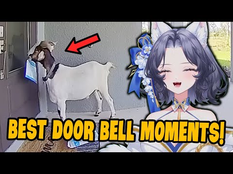 The Best Doorbell Videos Ever! | Yueho Reacts to Daily Dose of Internet