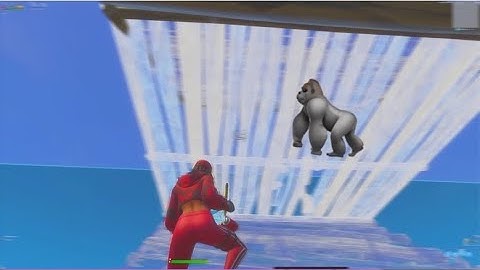 Zoo York 🦍 + Best 60FPS Console Linear Player