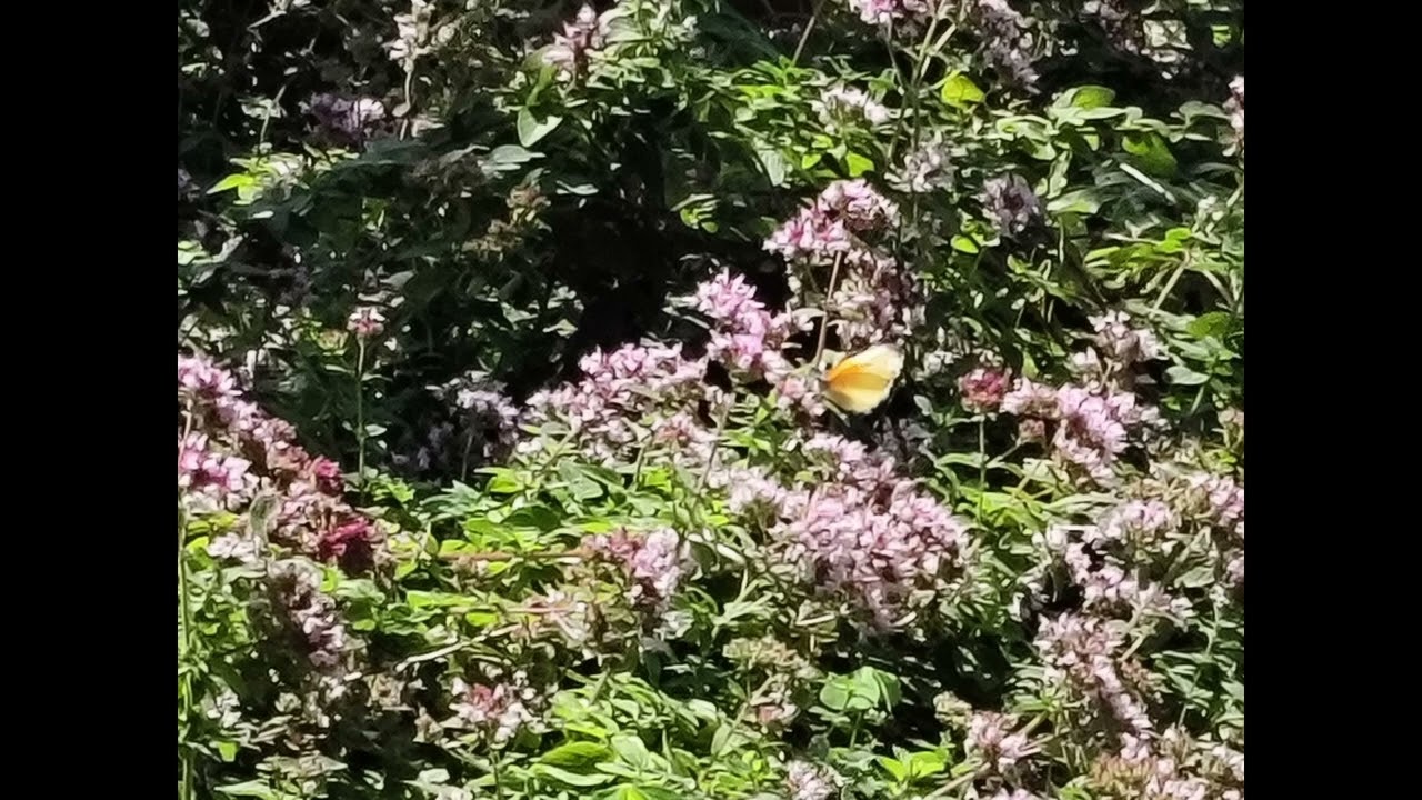 try believing in me for once