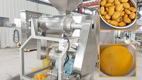 Automatic Mango Pulping Machine