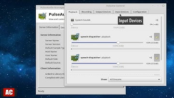PulseAudio - Remove Noise While Recording Voice via Microphone on Linux Mint Cinnamon
