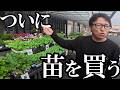 近所のホームセンターにて...