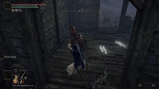 Elden Ring - The Secret of Sage Gowry