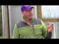 Agriberry farm tunnel greenhouse tour how they raise berries