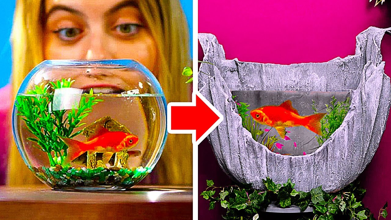5 DIY AQUARIUMS AND FOUNTAINS YOU CAN BUILD AT HOME