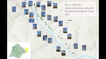 HOW-TO:  ArcGIS Field Maps for Photo Point Collection - Photo Map Creation in ArcGIS Pro