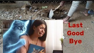 bht Mushkil se Kaha Good Bye 😮‍💨#viral #viralvideo #youtubeshorts #straycat