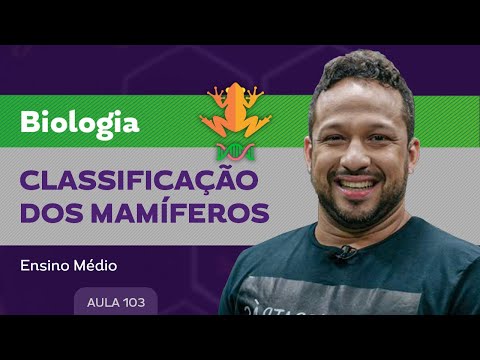 Vídeo: Quando marsupiais e placentários divergiram?