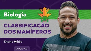 Classificação dos mamíferos​ - Biologia - Ensino Médio