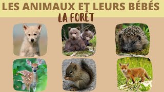Les animaux de la forêt et leurs bébés