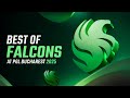 Best of Falcons at PGL Bucharest 2025 #skinclub