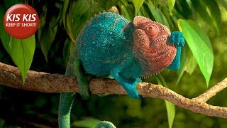 CG Short film "Our Wonderful Nature: The Common Chameleon" - by Tomer Eshed