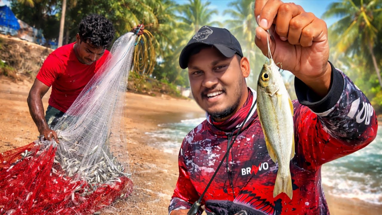 தஞ்சாவூர் பேராவூரணி சத்திரம் ஹார்பரில் அல்ட்ரா லைட் பிஷிங் | விசிறி வலையில் ஆயிரக்கணக்கான மீன் 😱🎣