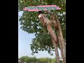 #ptskheravada #पीटीएस #police #rajsthanpolice #policeconstable