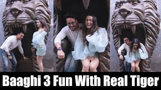 Baaghi 3 Fun With Real Tiger | Tiger Shroff, Shraddha Kapoor | Dance + Grand Finale