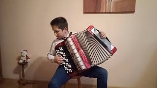 2 .Cat Matej Kysel, Slovakia, Czech Accordion Online Competition 2021