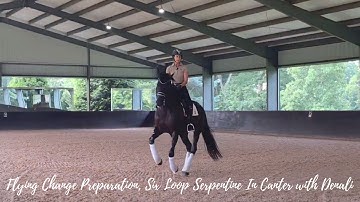 Flying Change Preparation, Six Loop Serpentine In Canter with Denali