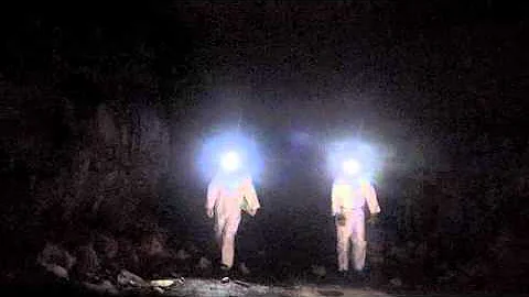 Gregory's Cave Bat Survey