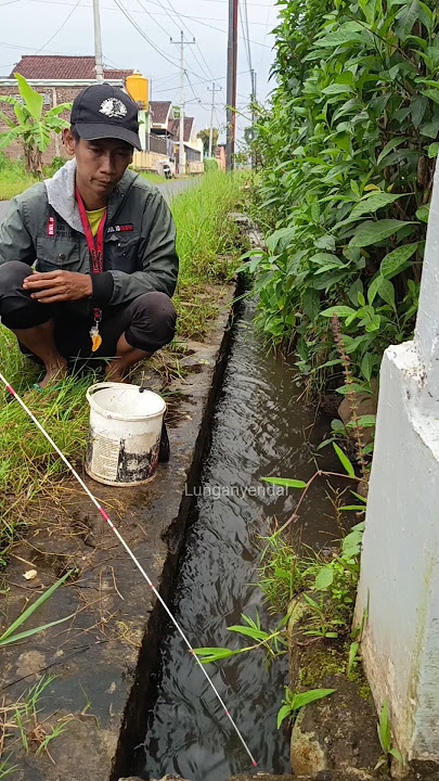 The gutter is only an inch long