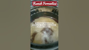 Thumbnail of Fermentasi Kombucha selama 3minggu apakah masih bisa diminum? #kombucha #fermentasikombucha #shorts