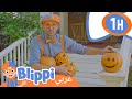 زينة حفل اليقطين الت نكري برامج كرتون و أغاني للأطفال برامج كرتون و أغاني للأطفال Blippi 