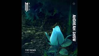 MitiS - Try feat. RØRY (Andrean Snow Remix)