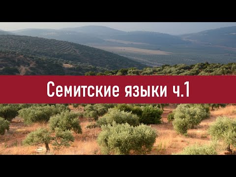 Семитские языки ч.1 (прародина, фонетика, морфология)