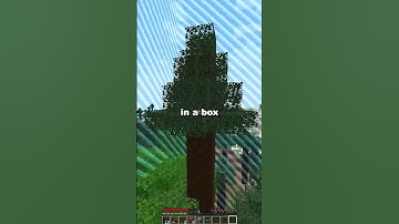 The Best Minecraft Server To Join in 2025 #minecraft #lifstealsmp #minecraftip #smp