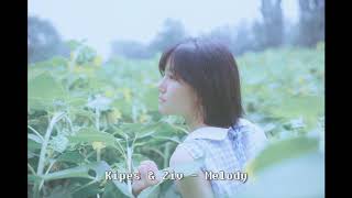 Kipes & Ziv - Melody 1시간 (1hour)