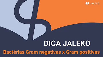 Como a diferenciação entre bactérias Gram-positivas e Gram negativas pode contribuir para direcionar o tratamento de uma infecção bacteriana?