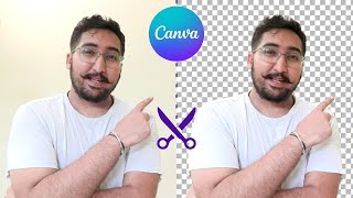 How To Remove Background In Canva? (Easy Canva Tutorial) screenshot 4