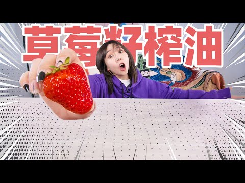 磨碎40000粒草莓籽！榨油！| Extract Oil