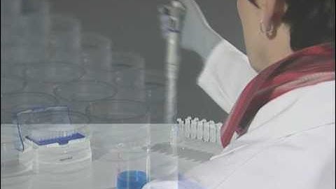 How to use the Reverse Pipetting technique with Eppendorf Research® plus mechanical pipettes